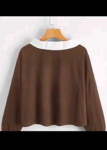 Dino Print Collar Sweatshirt
