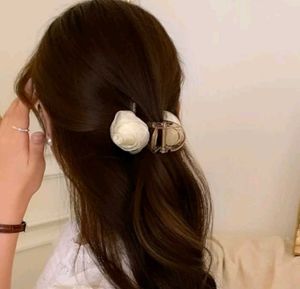 Korean Clips
