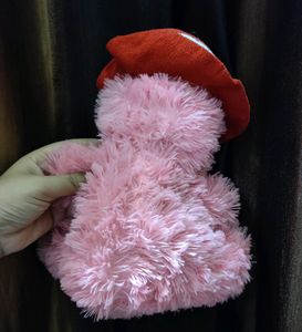 Pink Teddy Bear
