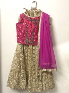 Pink Lehanga Choli