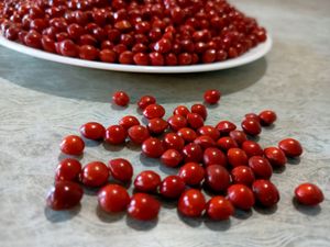 LUCKY RED SEEDS  / MANJADI SEED