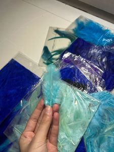20 Packet Blue Colour Shade Feathers