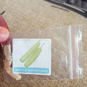 Different Gourds Seeds