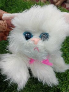 Cat Cuite Soft Toy