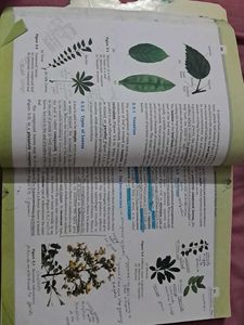 Biology Class XI Textbook