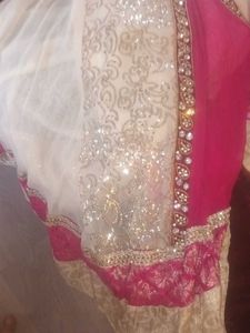 Elegant Pakistani/Indian Dress