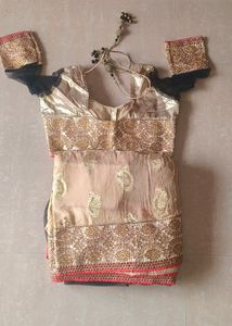 Regal Beige Saree Zardosi and Black Net Accents