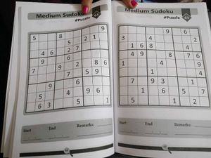 Ultimate Sudoku Puzzles - Large Print