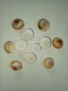 Original Gomti Chakra (Set Of 11p )