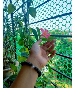 Bracelet<33