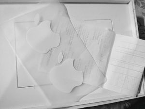 iPad 9th Gen (64Gb)