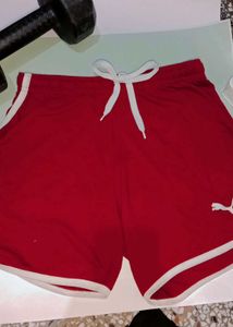 Dolphin Shorts..!