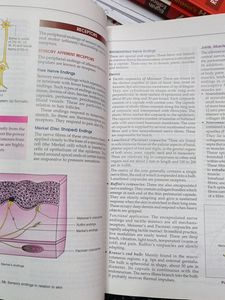 BD Chaurasia Volume 1(8th Edition)+Dissection Kit