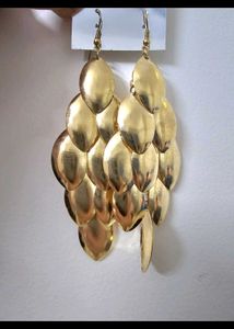 Brand New Earrings