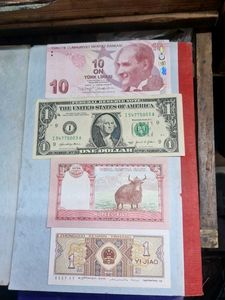 4 Notes World Currency Collection