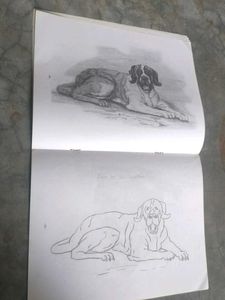 pencil shading/cushions