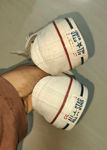 Converse Sneakers
