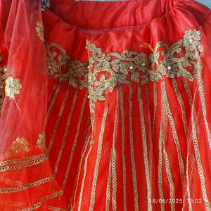 Rani Embroidered Lehenga Choli