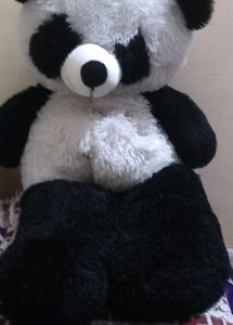Kids Toys Teddy