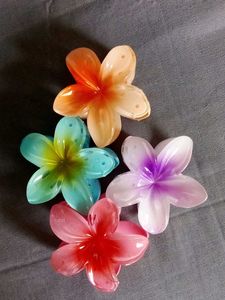 Colorful Plumeria Hair Clips Per Pc Price