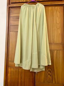 Elegant Pakistani Dress