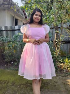 Customized Organza Mini Dress