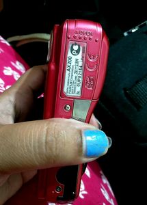 Fujifilm Vintage Camera