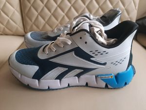 Reebok Zig Dynamic White Sky 2