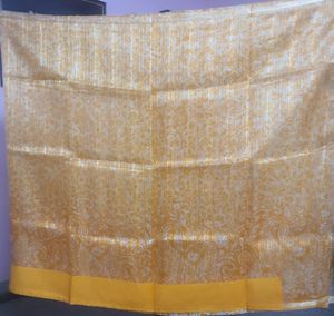 Transparent Saree with Blouse