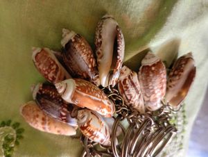 Seashell Keychain 10 Pieces