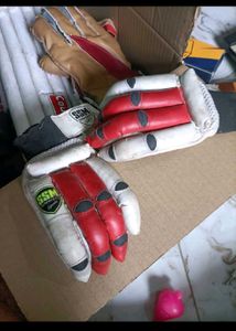 Cricket Kit Legpad Gloves Helmet Keeping Glovess