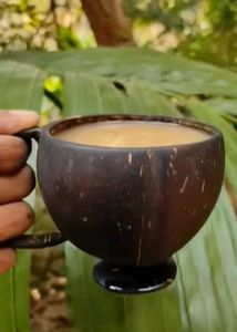 Pure Natural Coconut Shell