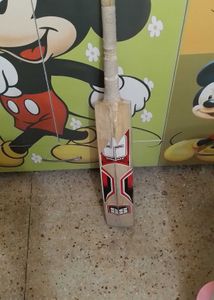 hi I want to sell this cricket bat