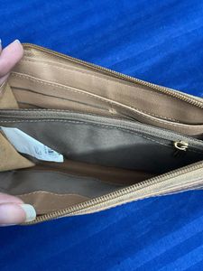 Baggit Wallet/purse