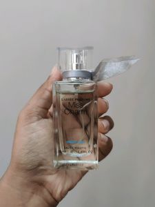 Miss Charm Dream Land Miniso