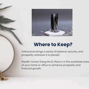 Orthoceras Kuber Stone For Financial Growth 💸💰