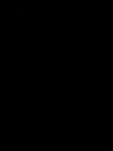 Black Cotton Fabric