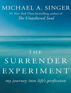 Combo: The Surrender Experiment and Expert Secrets