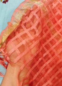 Elegant Coral &amp; Gold Dupatta Set of 2