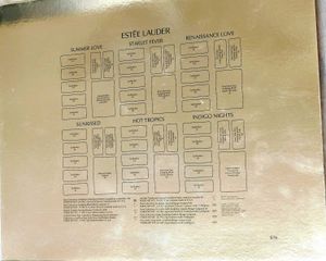 Estee Lauder 48 Shades 6 Looks to Envy Makeup Kit
