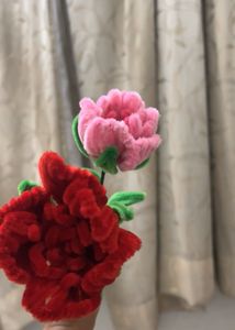 Rose 🌹