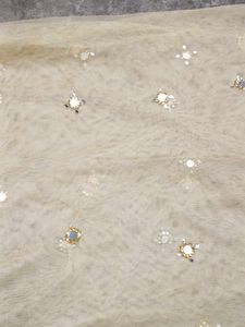 Embellished Dupatta mirror work