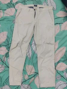 Brown Pant