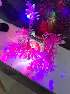 Flowers Led Lights For Decoration