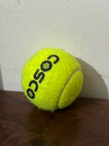 Cricket Ball