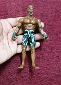 WWE Action Figures