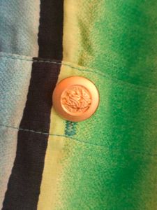 Striped Button-Down Shirt
