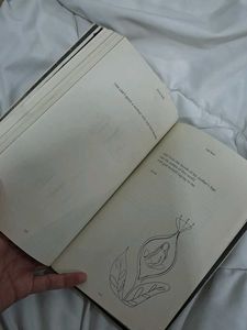 Home Body by Rupi Kaur