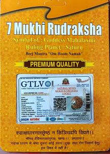 7 Mukhi Rudraksha Locket