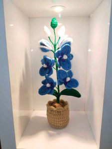 Crochet Potted Blue Orchid Flower ✨💙
